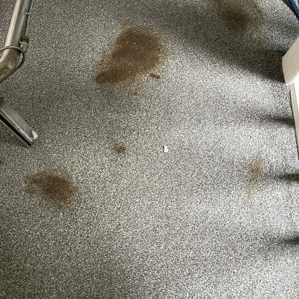 Carpet Cleaning 3